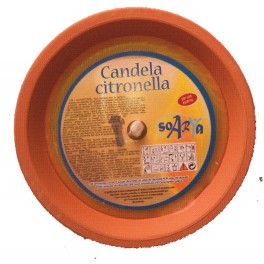 CITRONELLA COCCIO CM 15.5