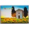 CALAMITA  VAL DORCIA 8 X 5