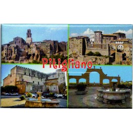 CALAMITA PITIGLIANO MULTIVEDUTE
