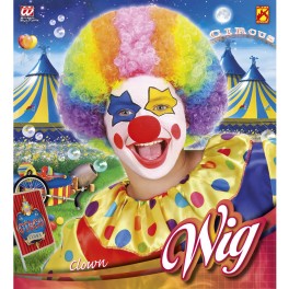 PARRUCCA CLOWN 