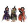 BEFANA SU SCOPA  CM 25