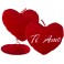 CUORE IN PELUCHE TI AMO CM 26