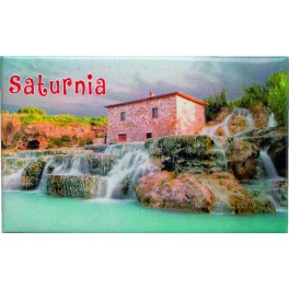 CALAMITA SATURNIA 