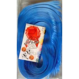 COCCARDE STRIPP AZZURRE