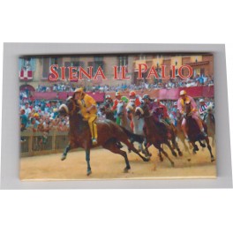 CALAMITA  SIENA PALIO 