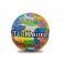 PALLONE VOLLEY MISURA 5